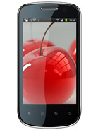 Best available price of Celkon A19 in Bosnia